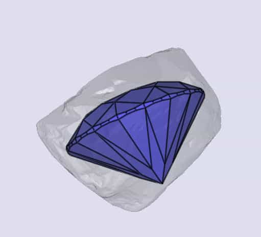 sarine