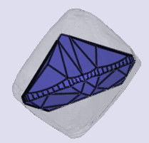 sarine