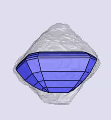 sarine