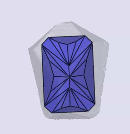 sarine