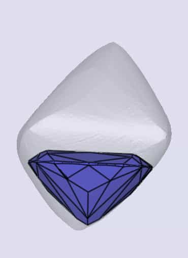 sarine