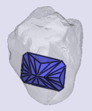 sarine