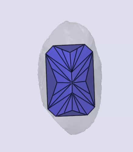 sarine
