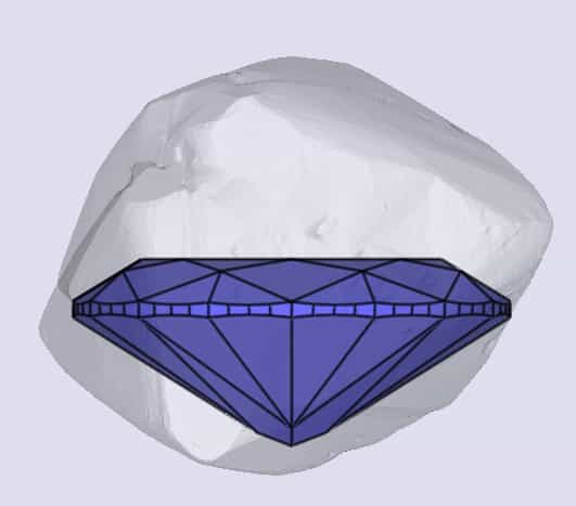 sarine