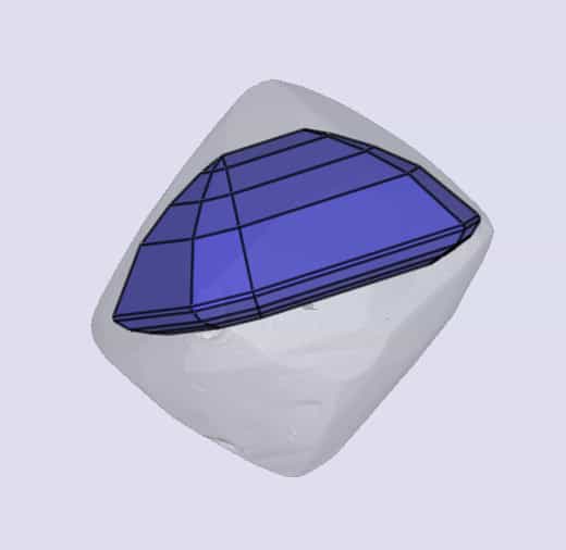 sarine