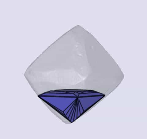 sarine