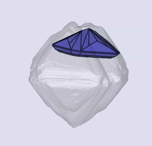 sarine