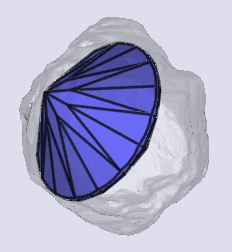 sarine