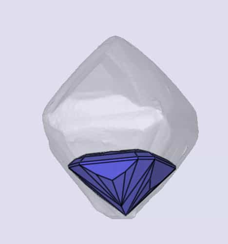 sarine