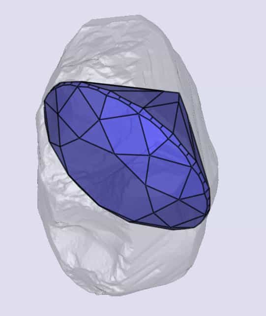 sarine