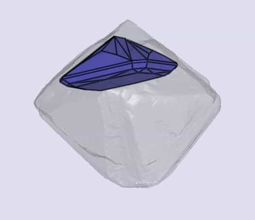 sarine