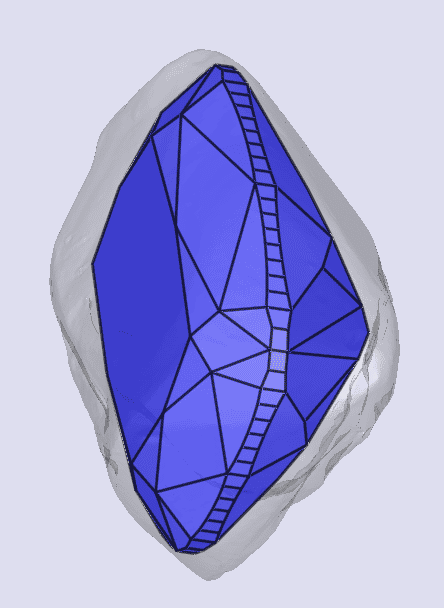 sarine