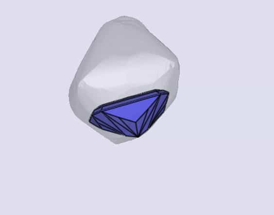sarine