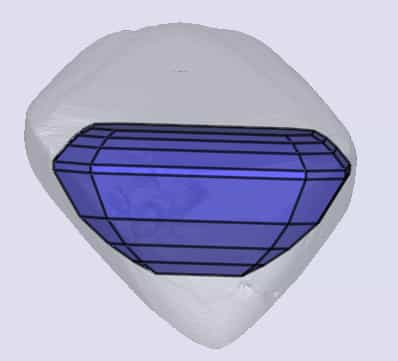 sarine