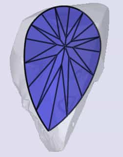 sarine