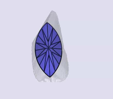 sarine