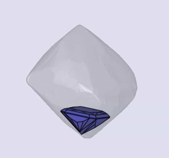sarine