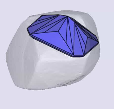 sarine