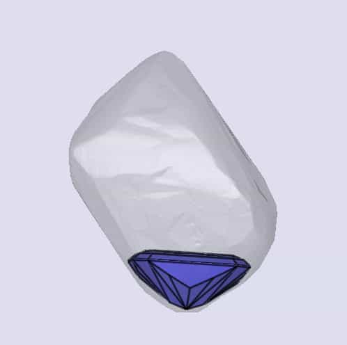 sarine