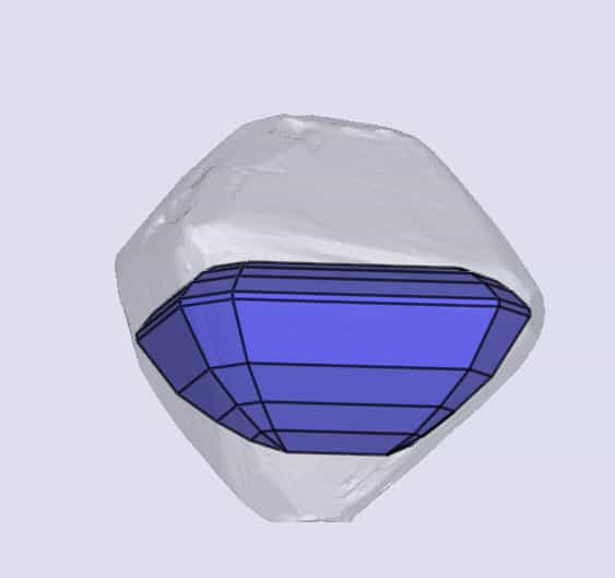 sarine