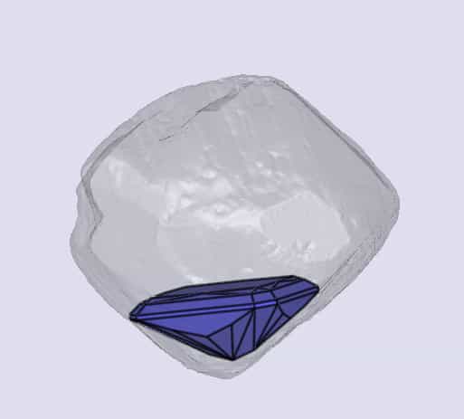 sarine