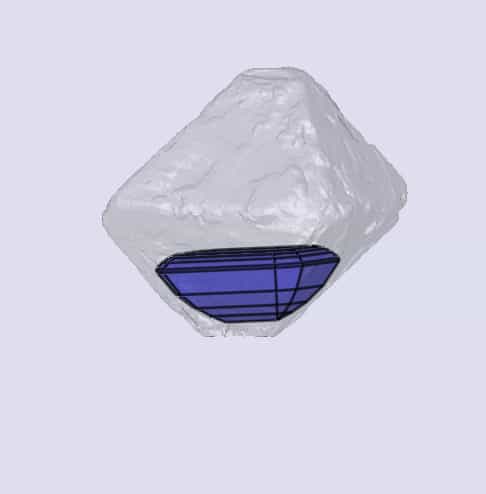 sarine