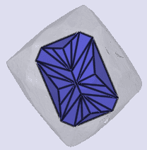 sarine