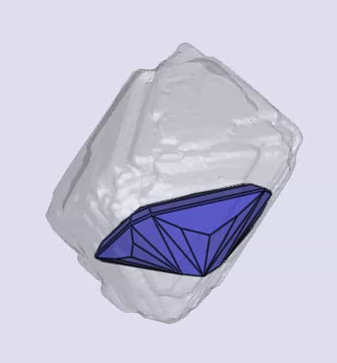 sarine