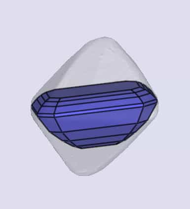 sarine