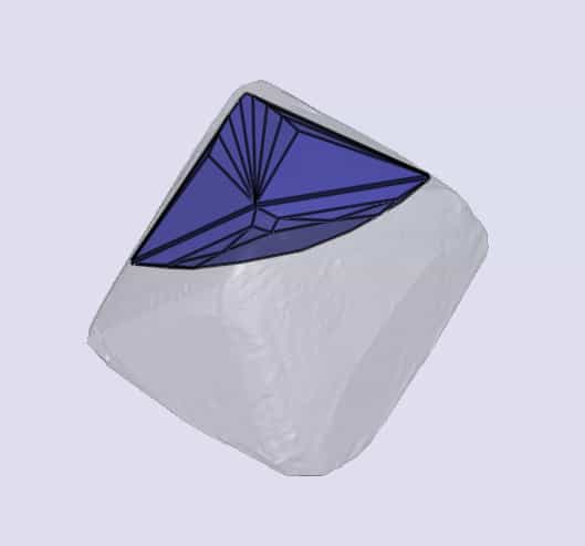 sarine