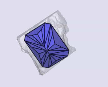 sarine