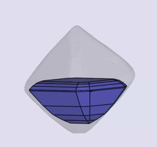 sarine