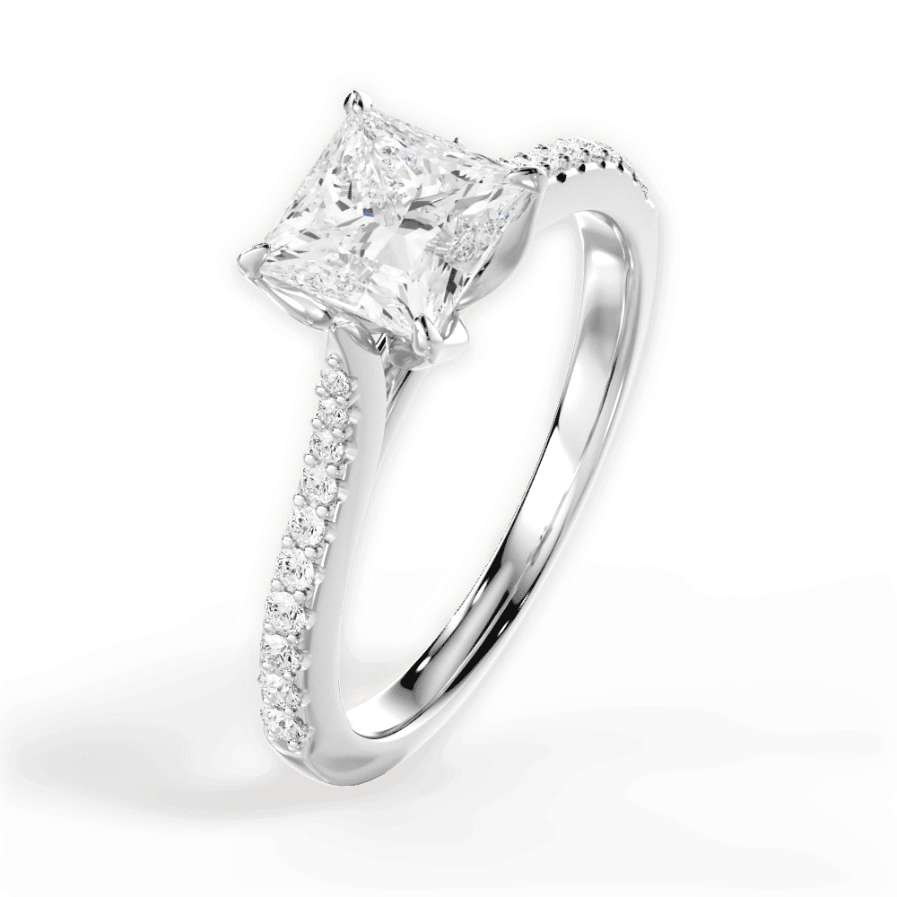 14kt White Gold/18kt White Gold/Platinum/princess/perspective