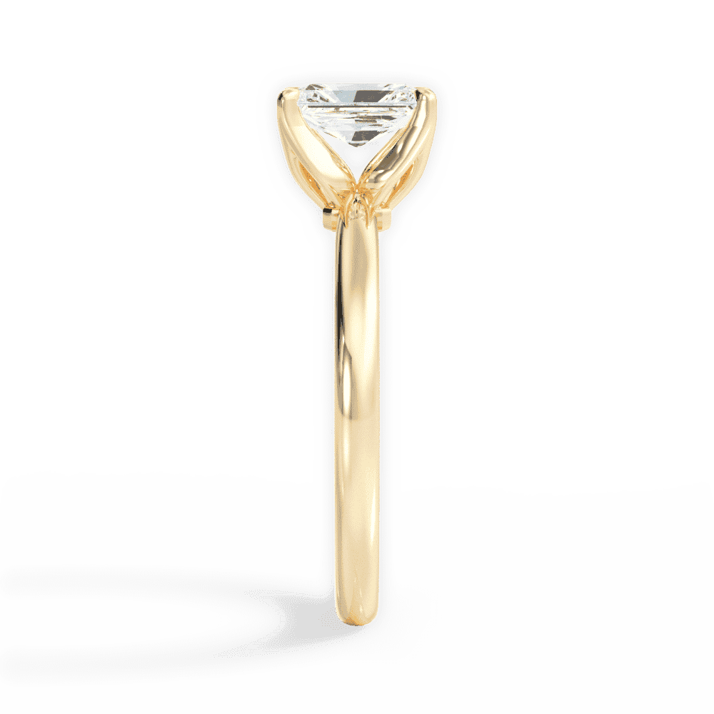 14kt Yellow Gold/18kt Yellow Gold/radiant/side