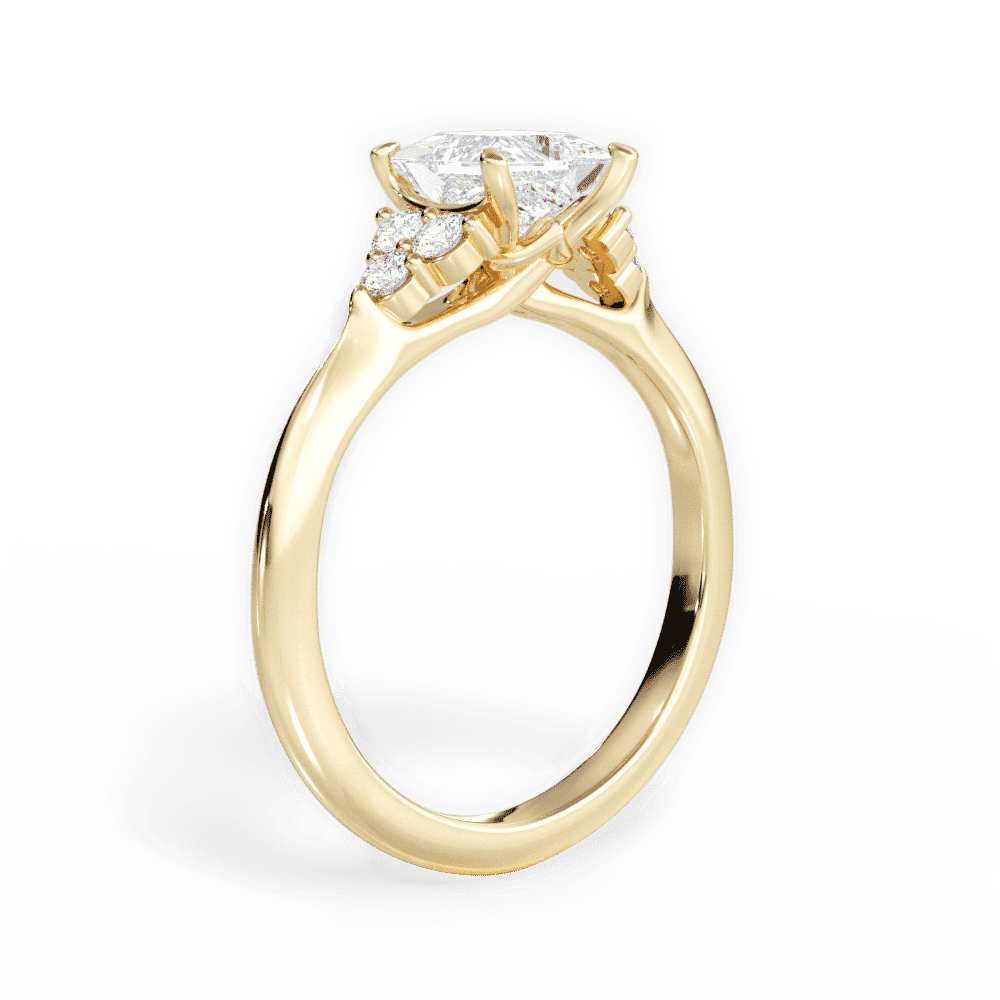 14kt Yellow Gold/18kt Yellow Gold/princess/front