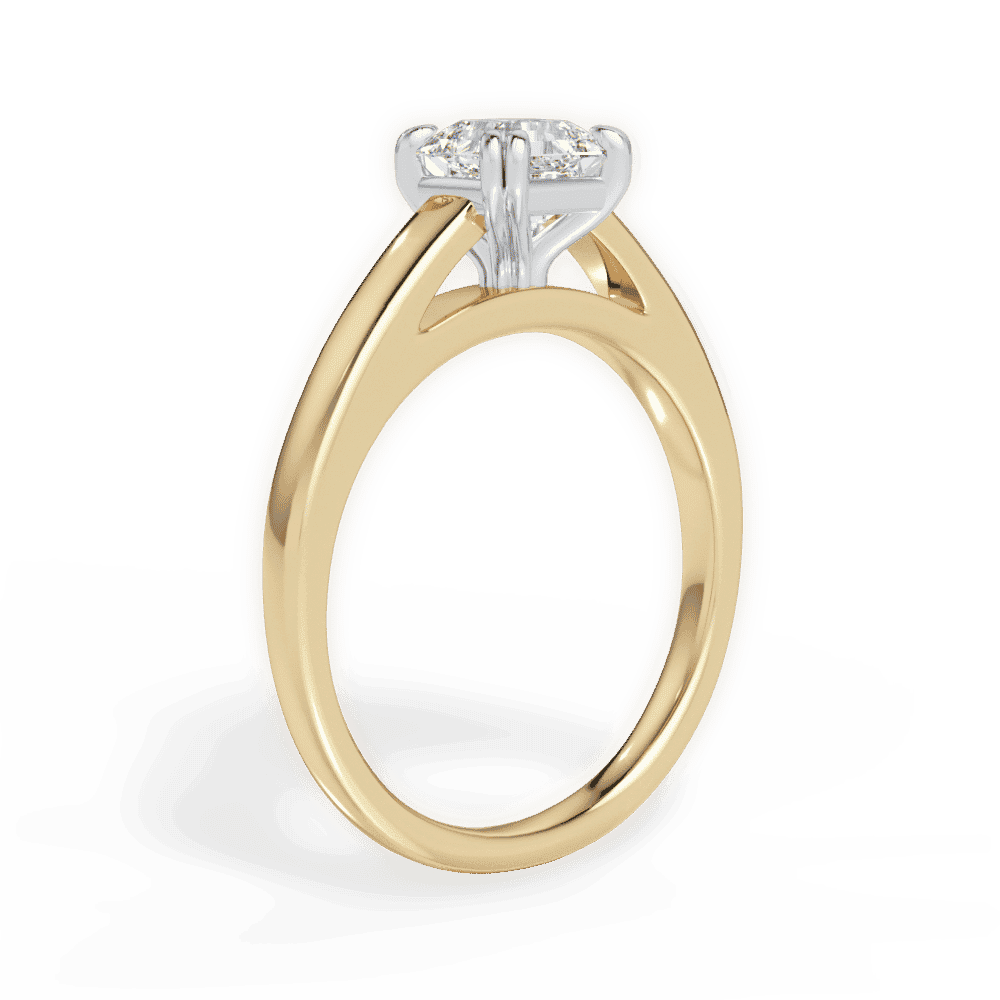 14kt Yellow Gold/18kt Yellow Gold/asscher/front