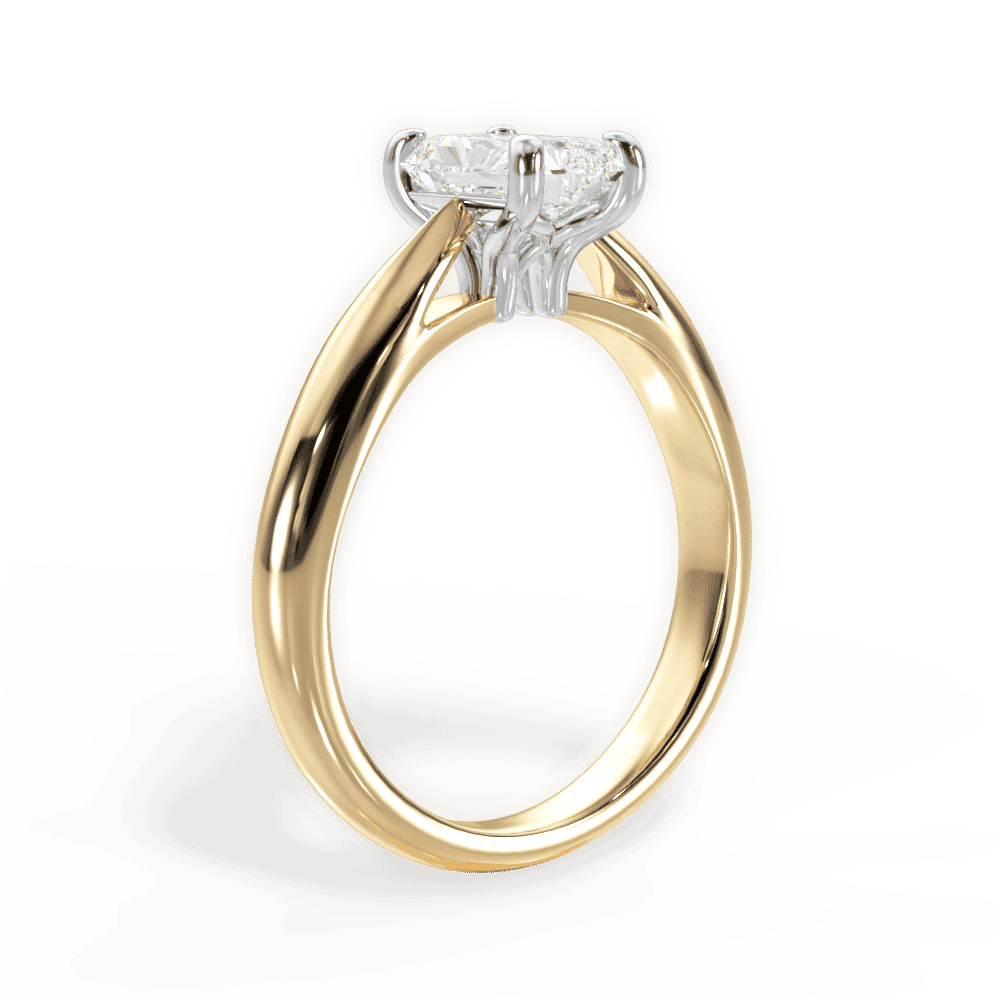 14kt Yellow Gold/18kt Yellow Gold/radiant/front