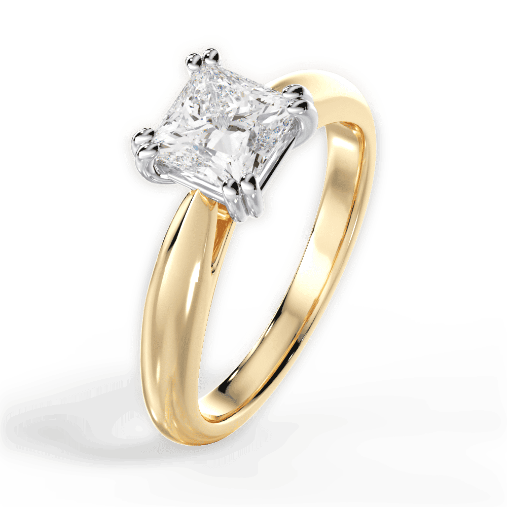 14kt Yellow Gold/18kt Yellow Gold/princess/perspective