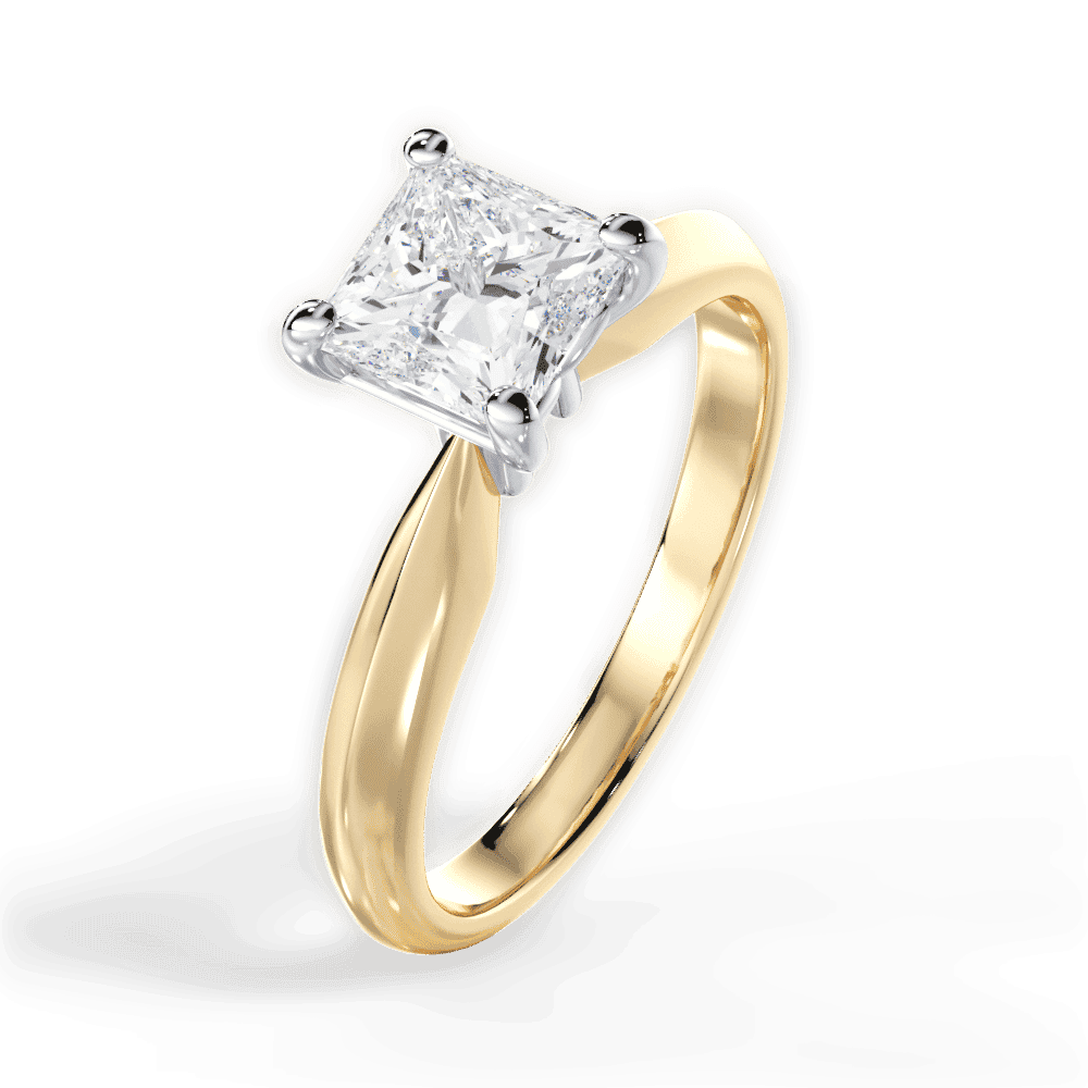 14kt Yellow Gold/18kt Yellow Gold/princess/perspective