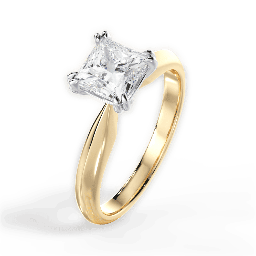14kt Yellow Gold/18kt Yellow Gold/princess/perspective