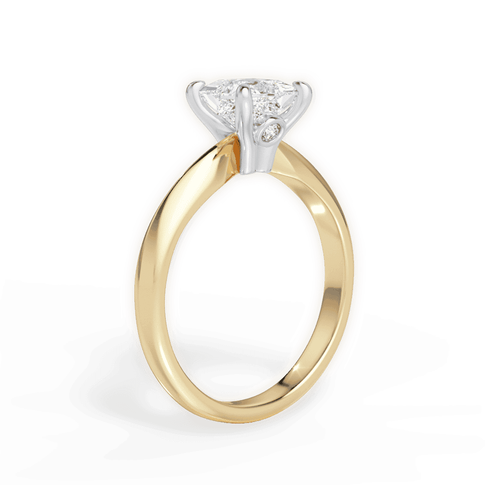 14kt Yellow Gold/18kt Yellow Gold/princess/front