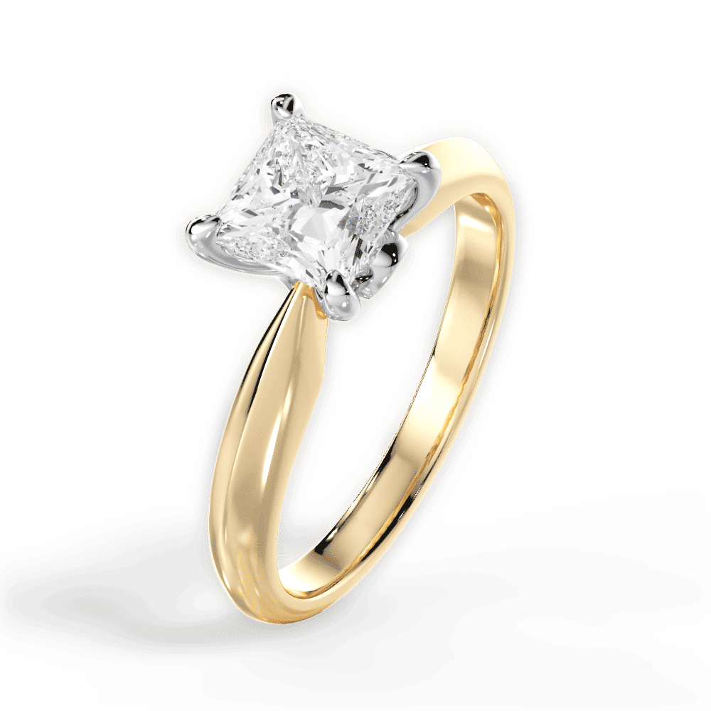 14kt Yellow Gold/18kt Yellow Gold/princess/perspective