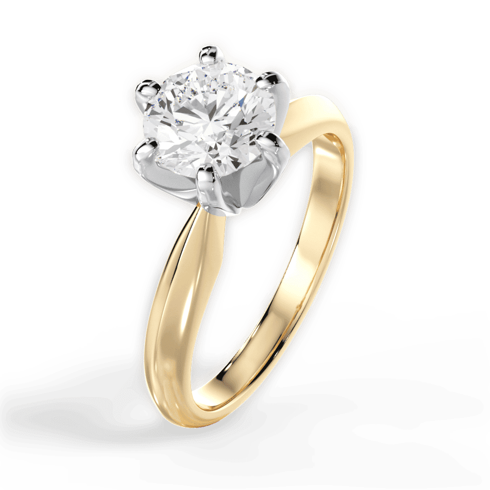 14kt Yellow Gold/18kt Yellow Gold/round/perspective