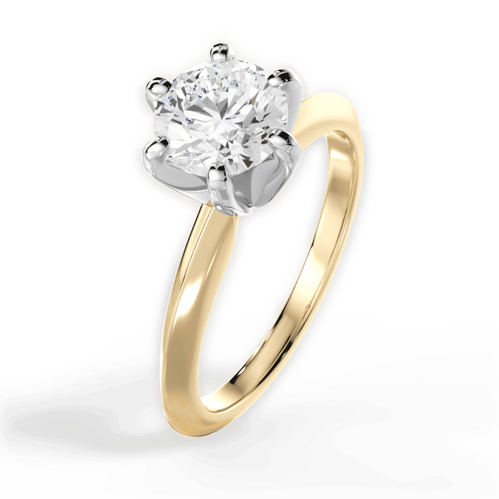14kt Yellow Gold/18kt Yellow Gold/round/perspective
