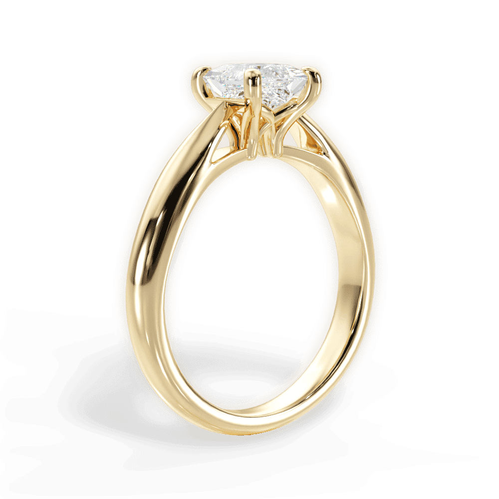 14kt Yellow Gold/18kt Yellow Gold/princess/front