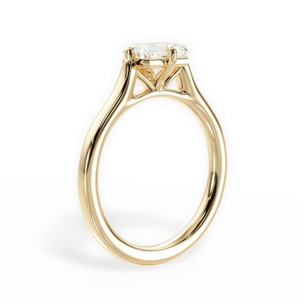 14kt Yellow Gold/18kt Yellow Gold/radiant/front