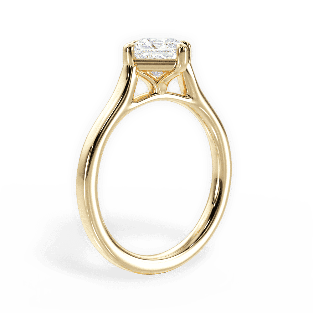 14kt Yellow Gold/18kt Yellow Gold/princess/front