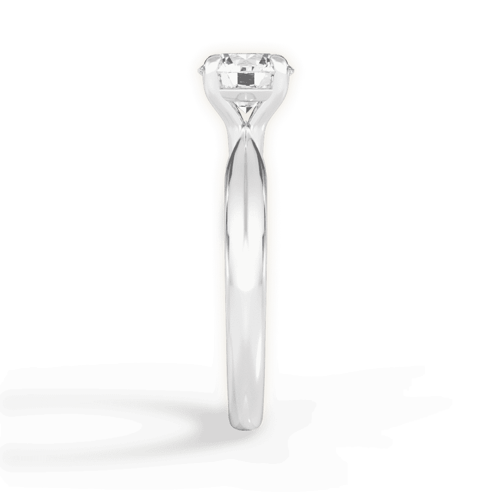 14kt White Gold/18kt White Gold/Platinum/round/perspective
