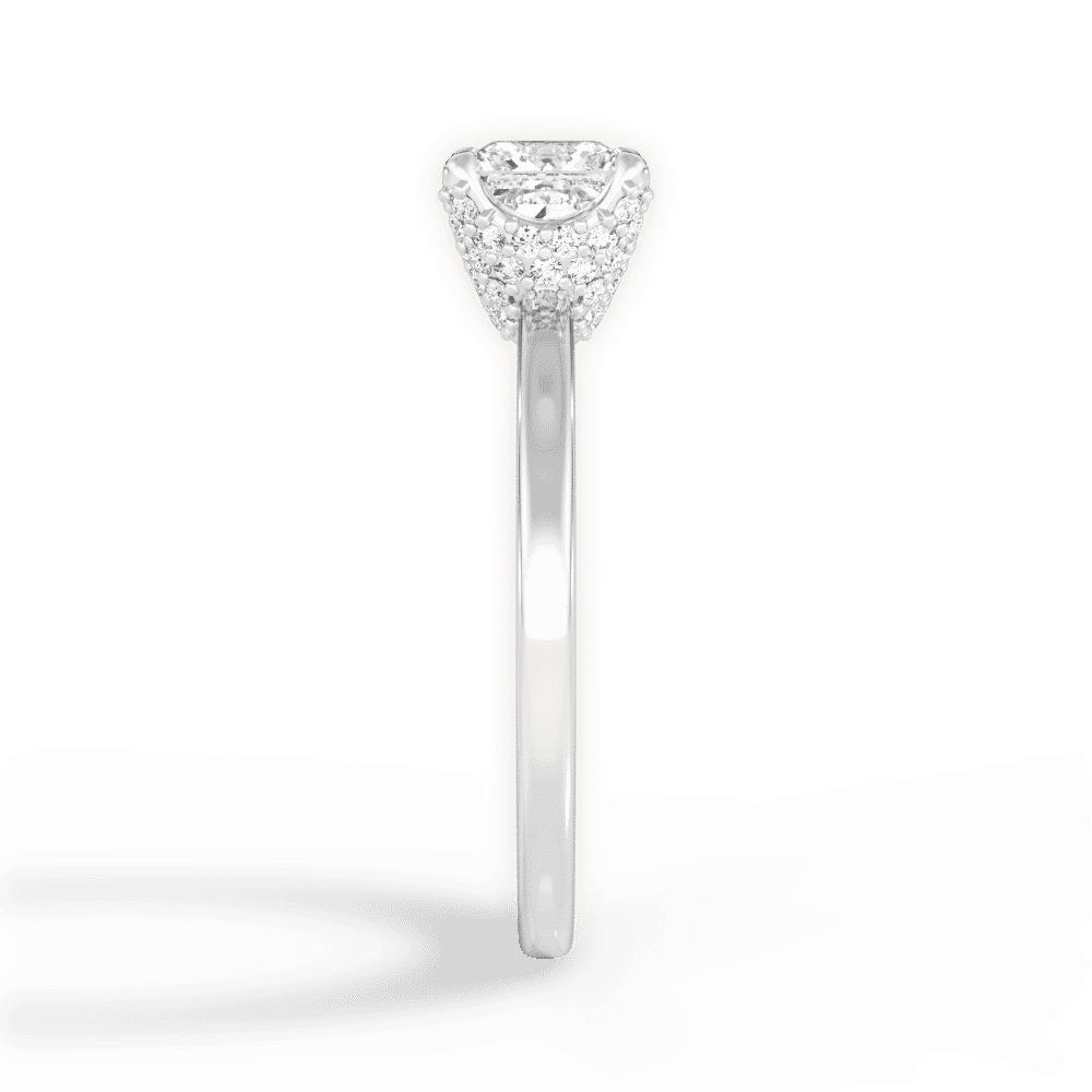 14kt White Gold/18kt White Gold/Platinum/princess/perspective