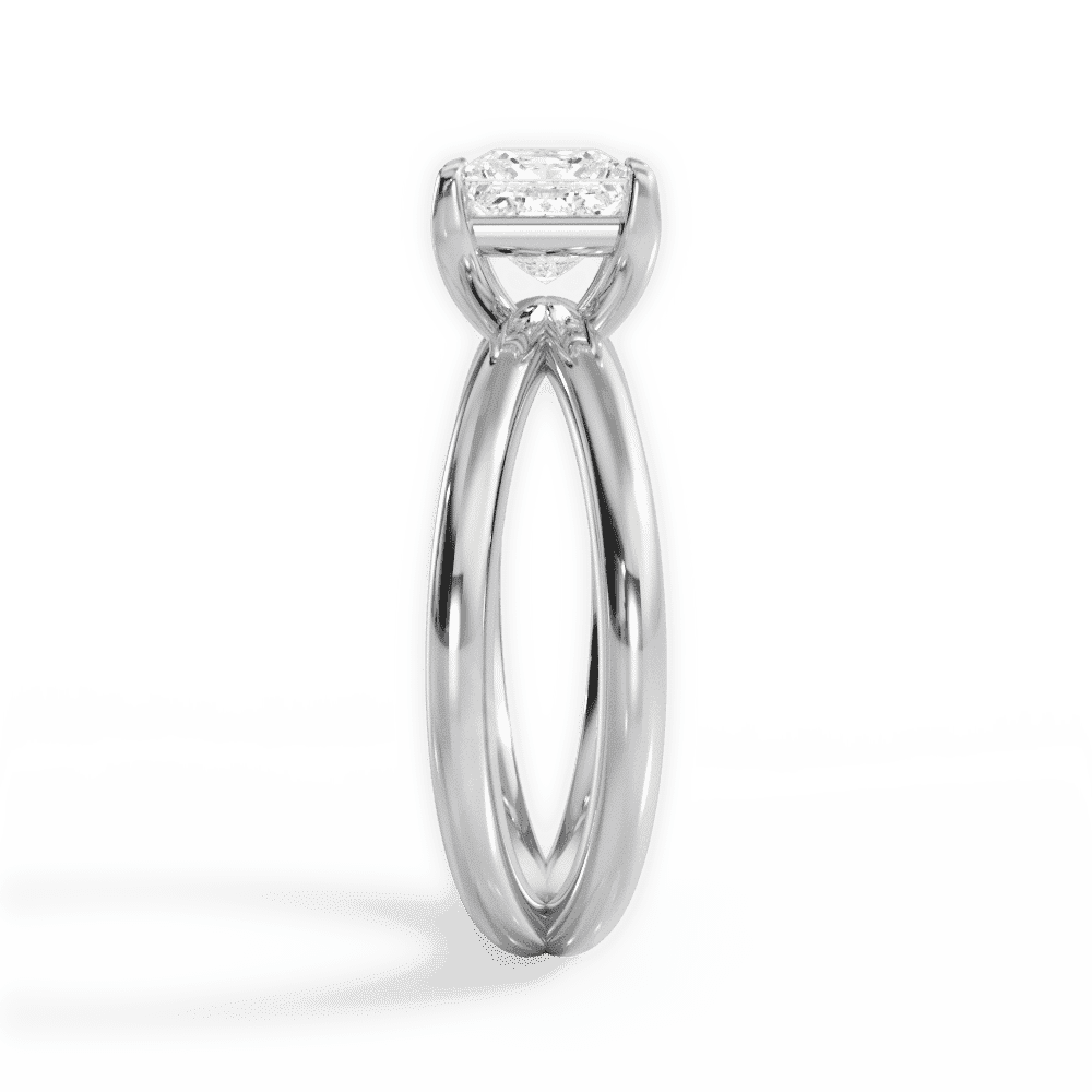 14kt White Gold/18kt White Gold/Platinum/princess/perspective